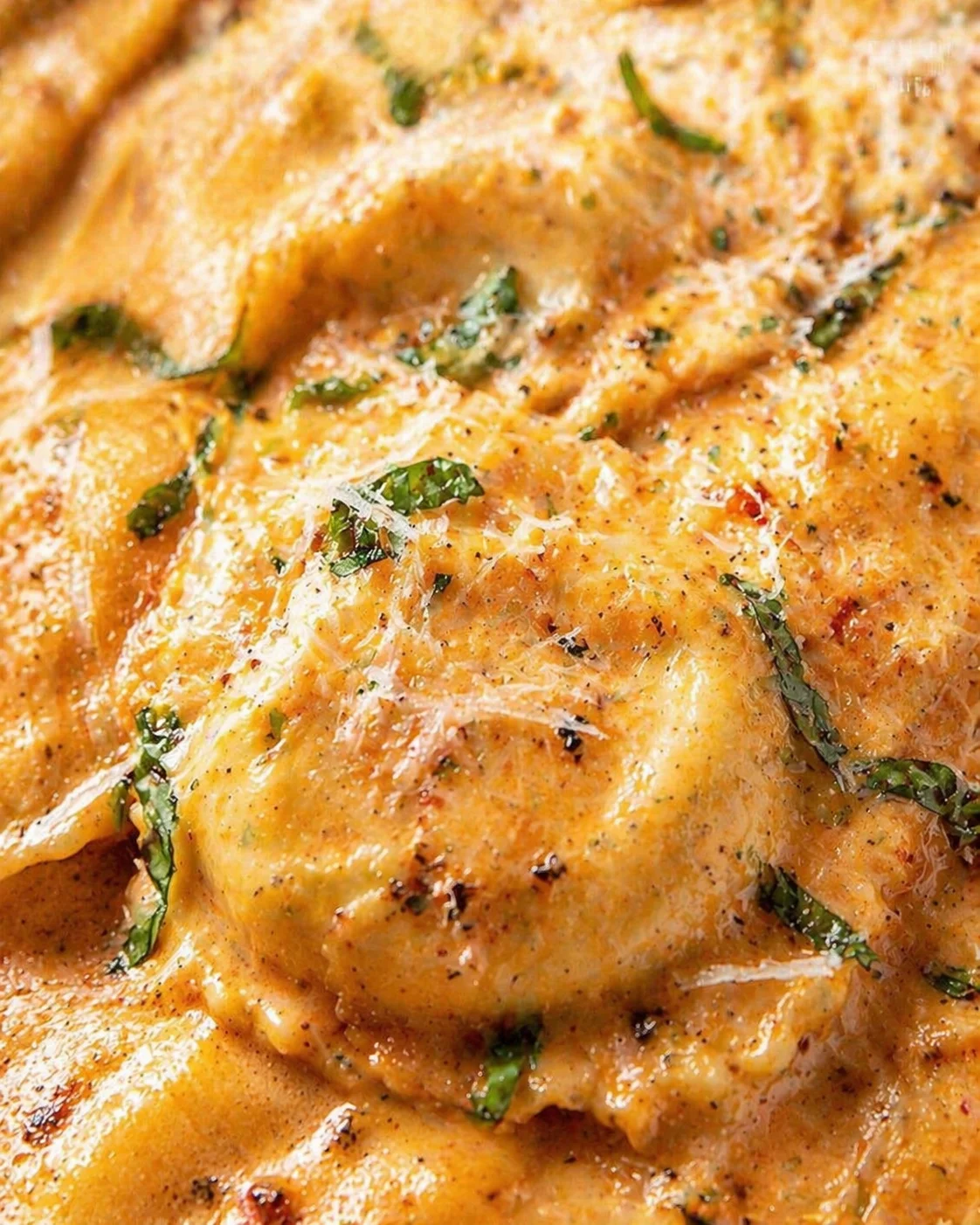 Tight detail shot of Ravioli Sauce - The Ultimate Comfort Food Delight highlighting texture
