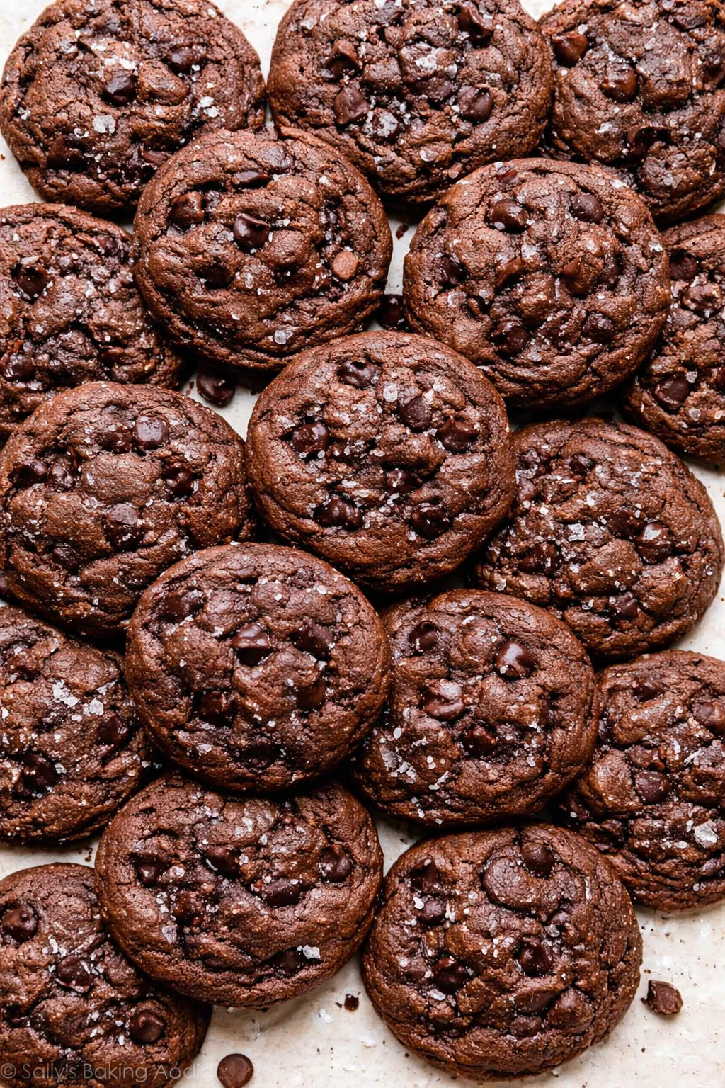 Overhead view of fudgy chocolate chip cookies sprinkled with flaky salt